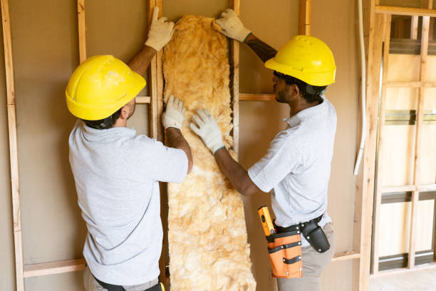 Best Spray Foam Insulation  in Kingwood, WV