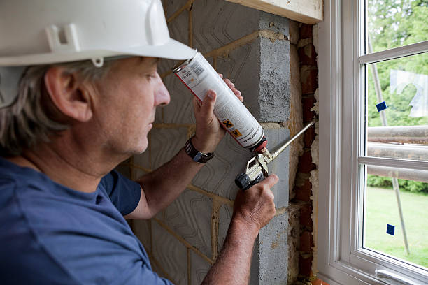 Best Best Insulation Companies  in Kingwood, WV