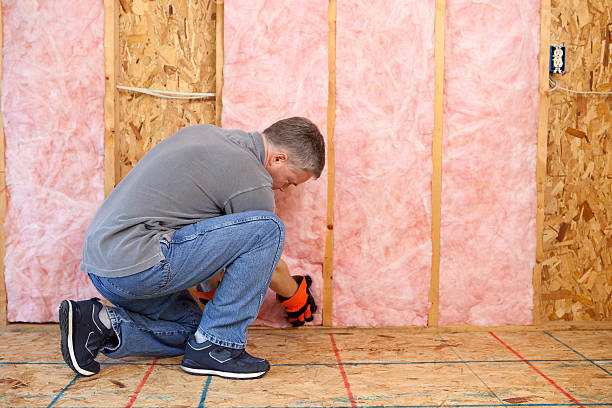 Best Spray Foam Insulation  in Kingwood, WV