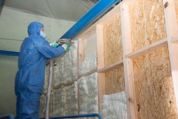 Best Cellulose Insulation  in Kingwood, WV