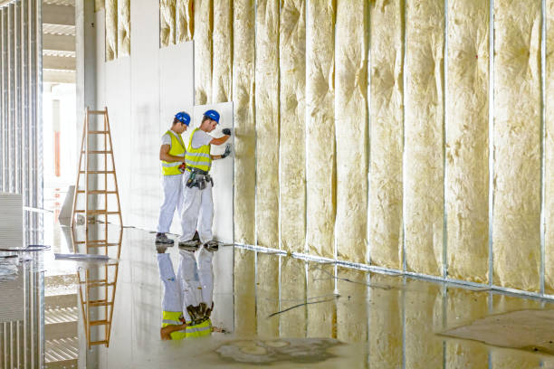 Best Wall Insulation Contractor  in Kingwood, WV